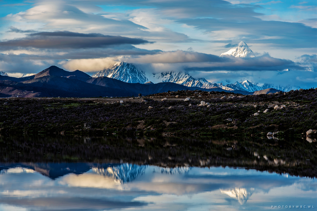 _DSC0473 - .jpg
