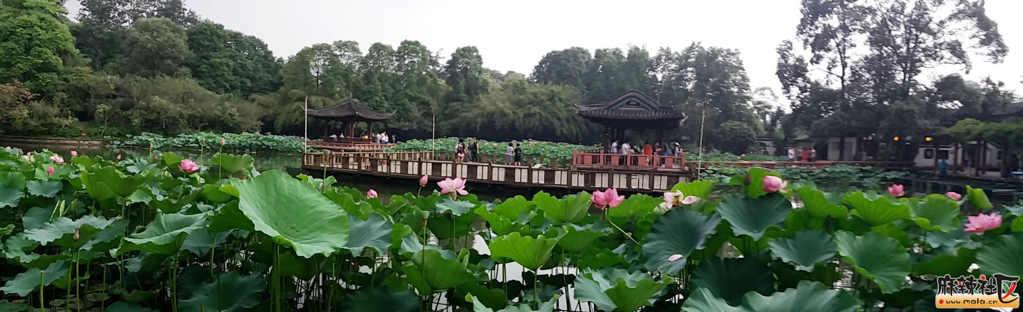 20160627_161525.jpg