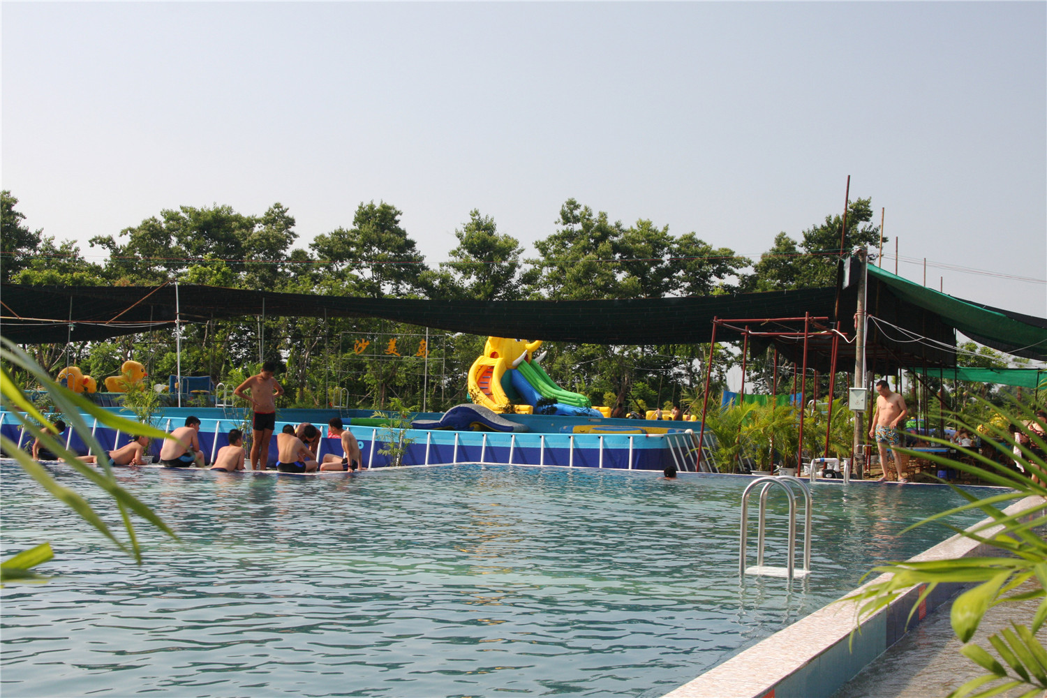 IMG_6691__.jpg