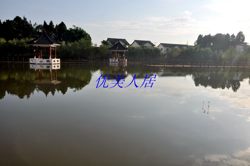 DSC_2780.JPG