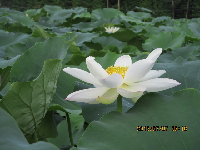 102408bti9q9ivrx43mixr.jpg