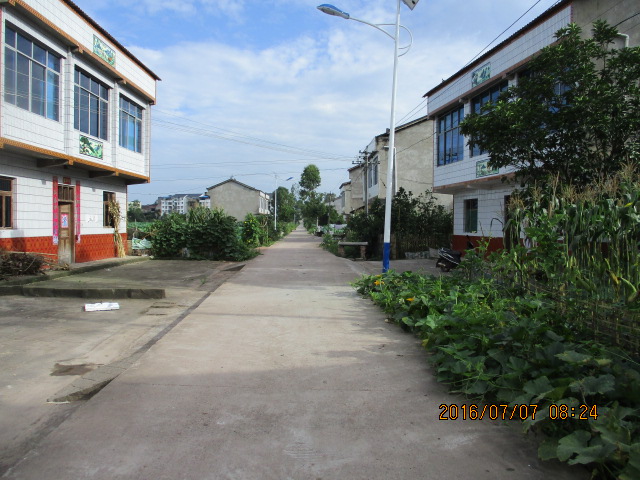 102409oofwzto86e1otej1.jpg