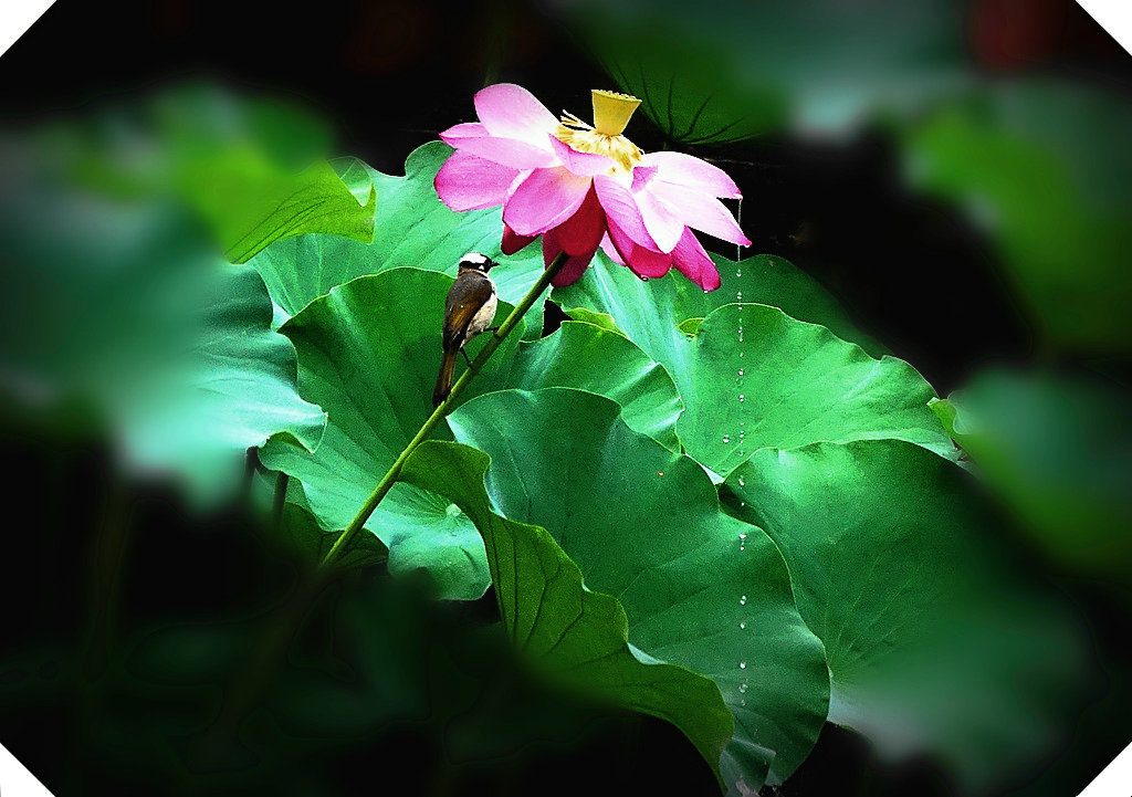 DSC03345_.jpg