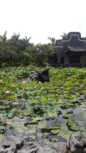 20160613_100912.jpg