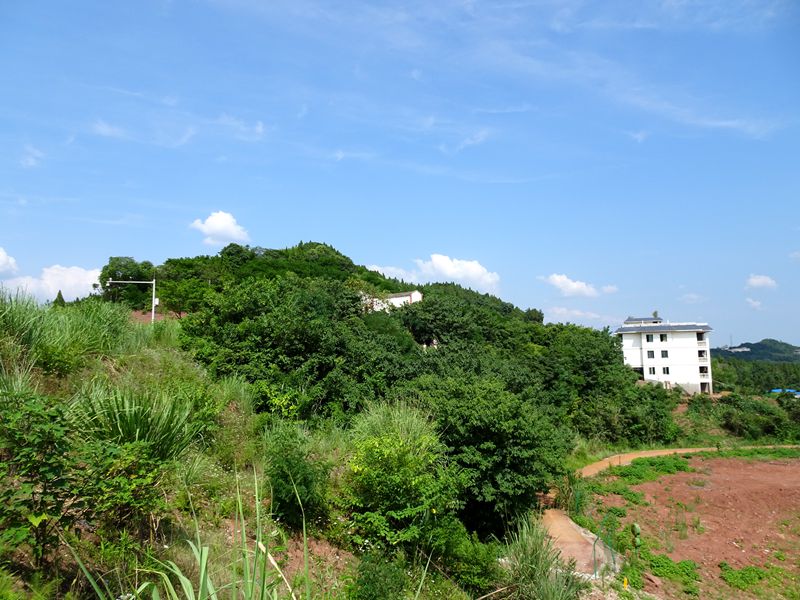 DSC07397_.jpg