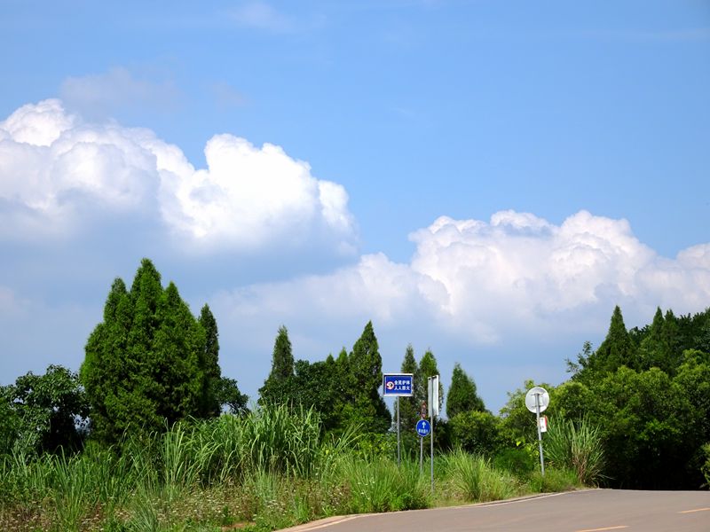 DSC07400_.jpg