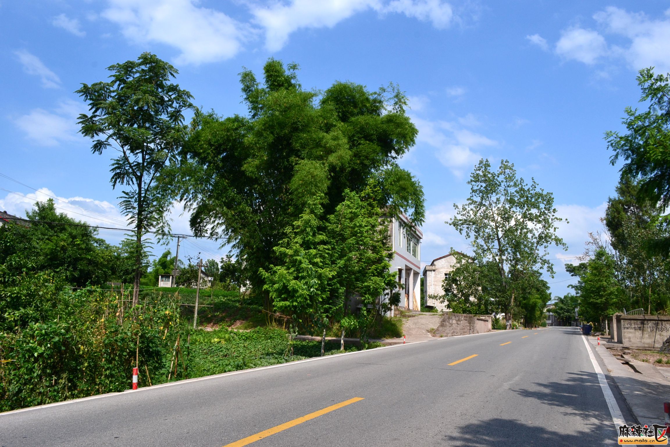DSC_8853.JPG