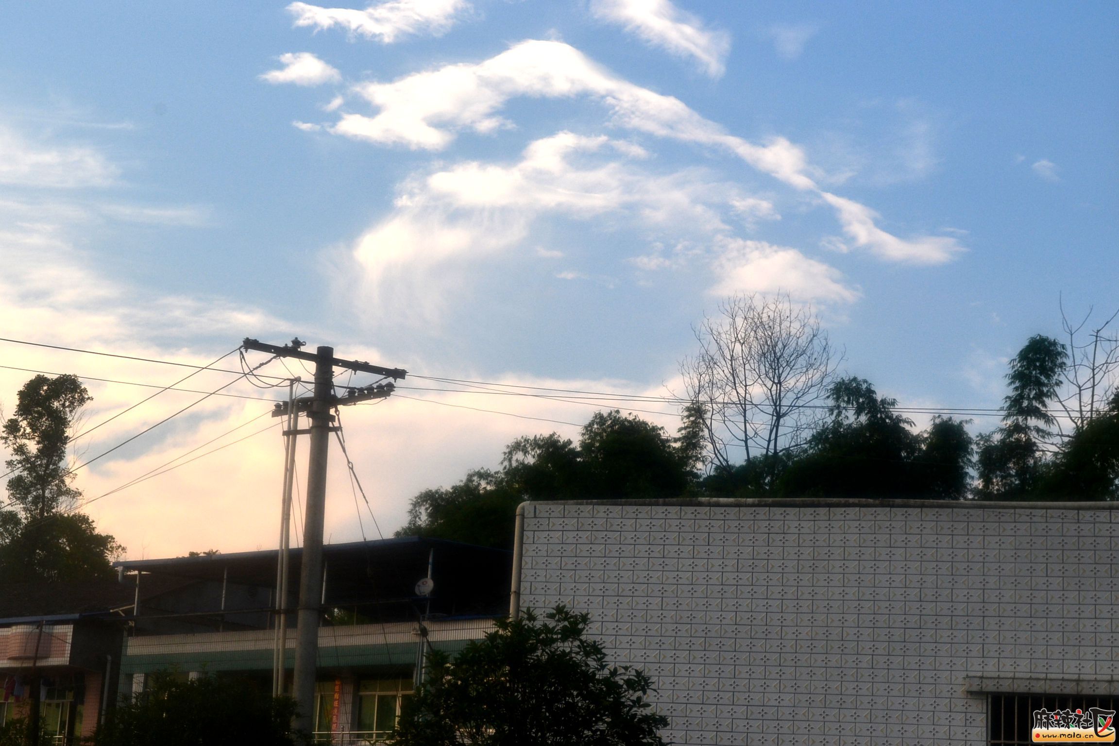 DSC_8916.JPG