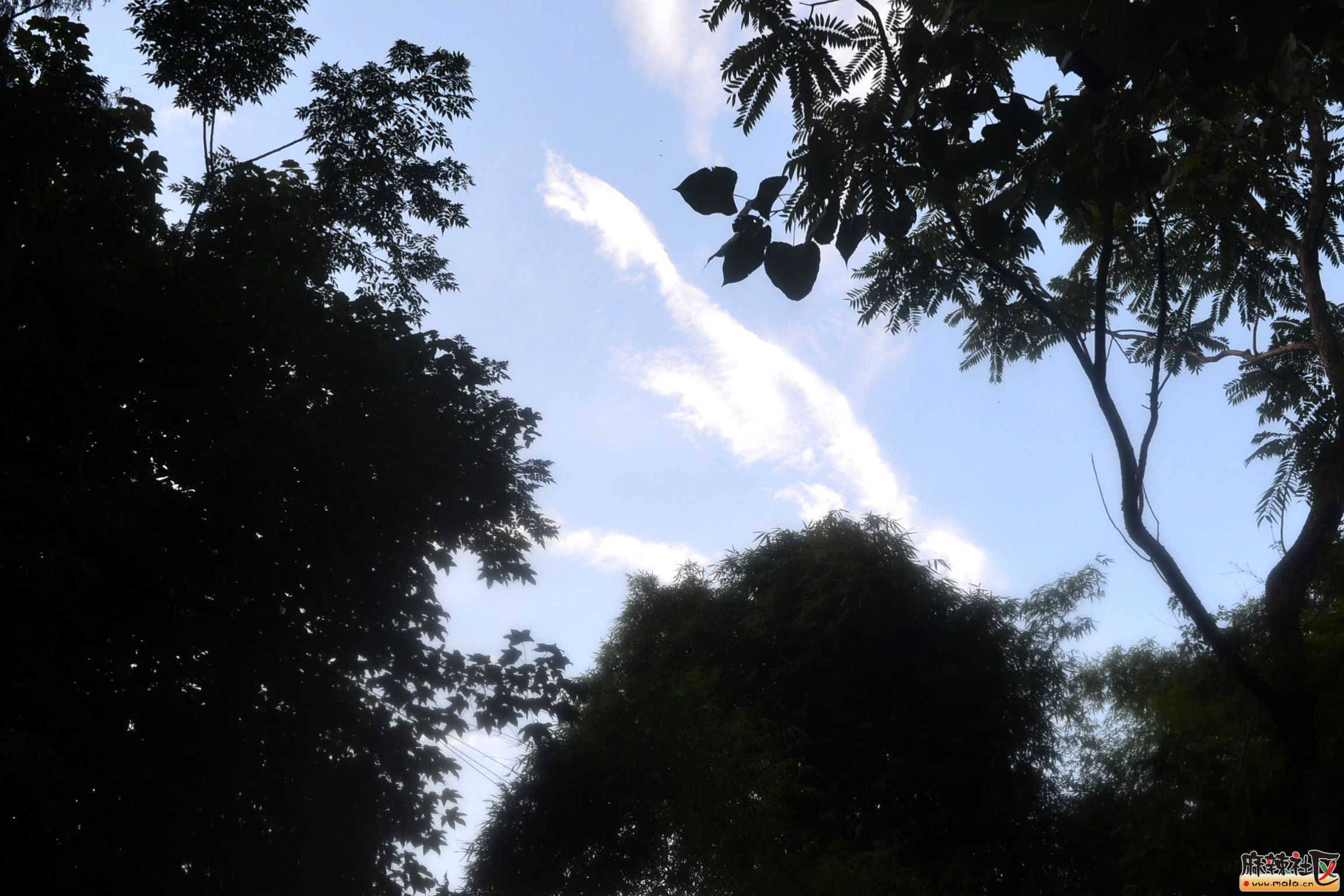 DSC_8952.JPG