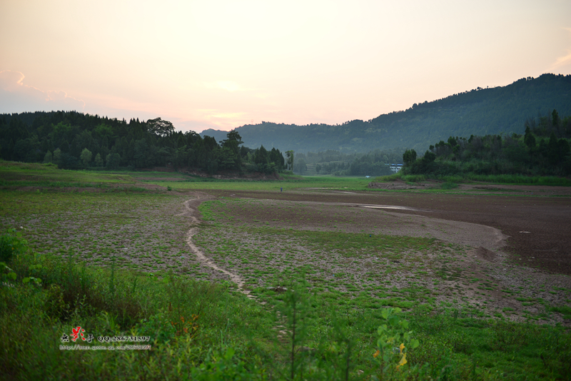 DSC_0440.jpg