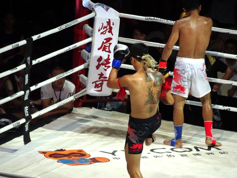DSC07742_.jpg