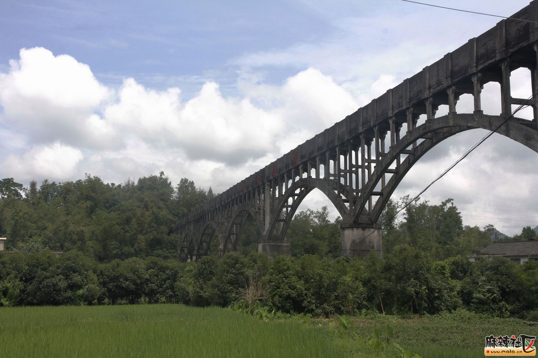 145007f31bz14d3qofbqfy.jpg