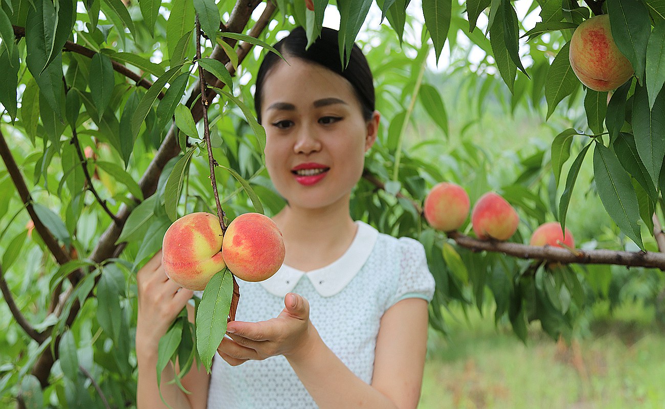 益阳美女 桃江图片