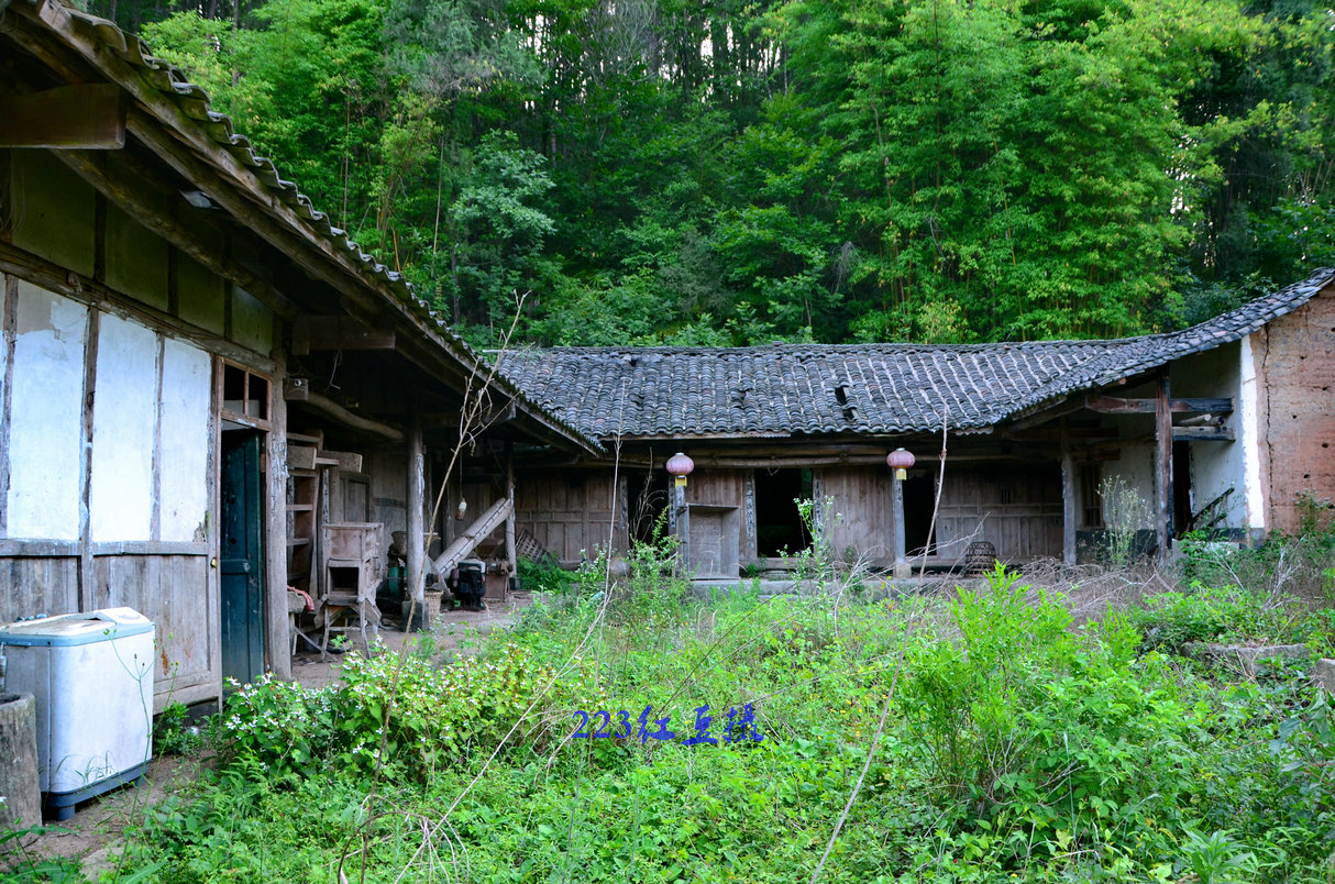 122647ywx74tv07ootzovn.jpg