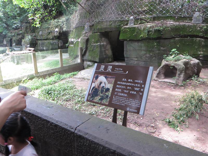 232753wd8pg5086yyoadbn.jpg