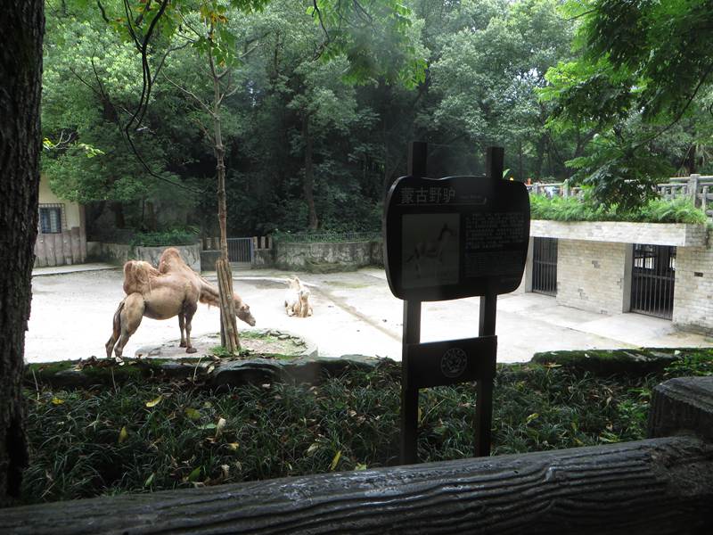 IMG_2848.jpg