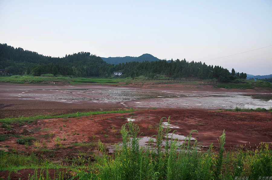 DSC_0158.jpg