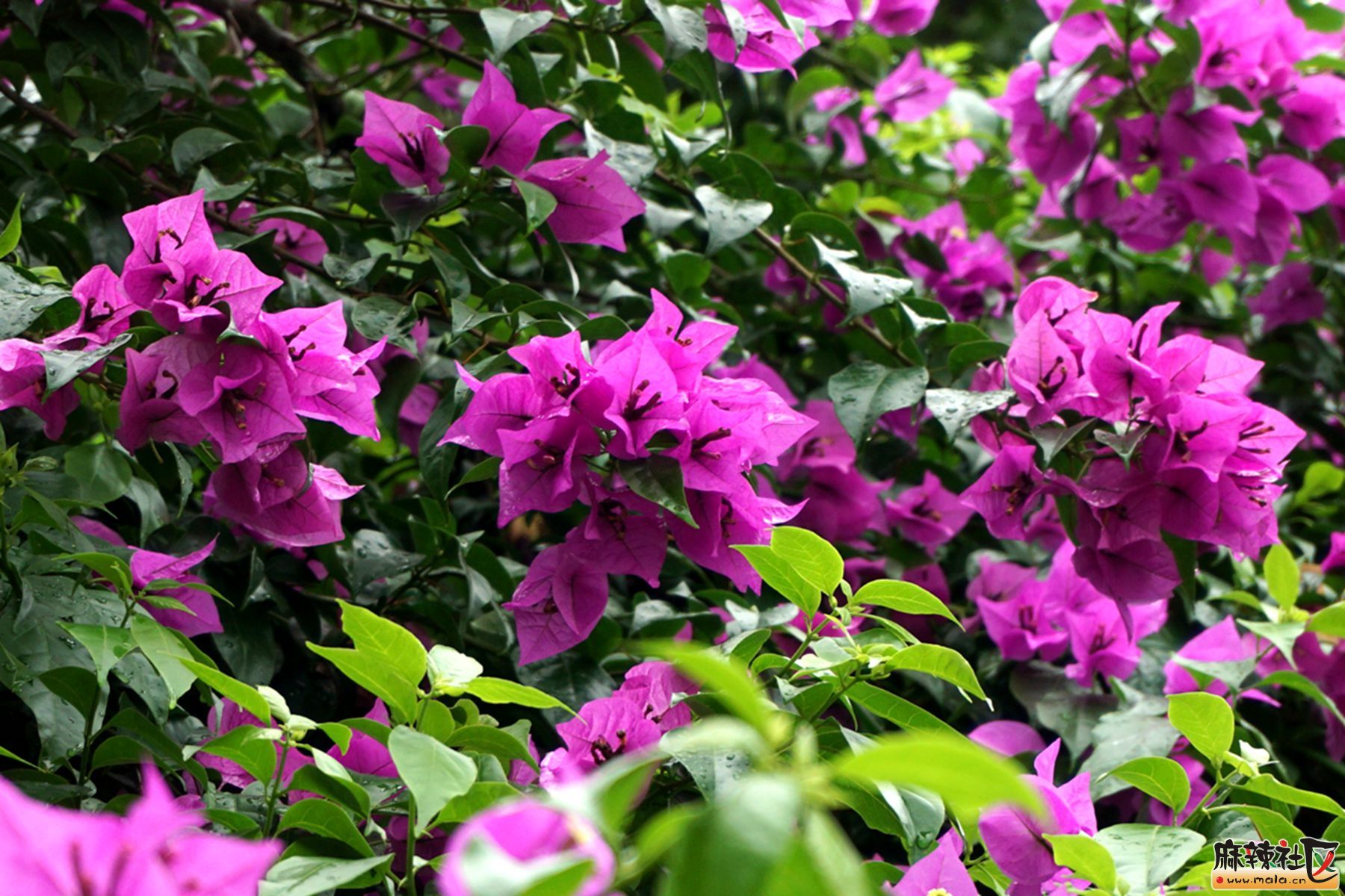DSC09666_.jpg
