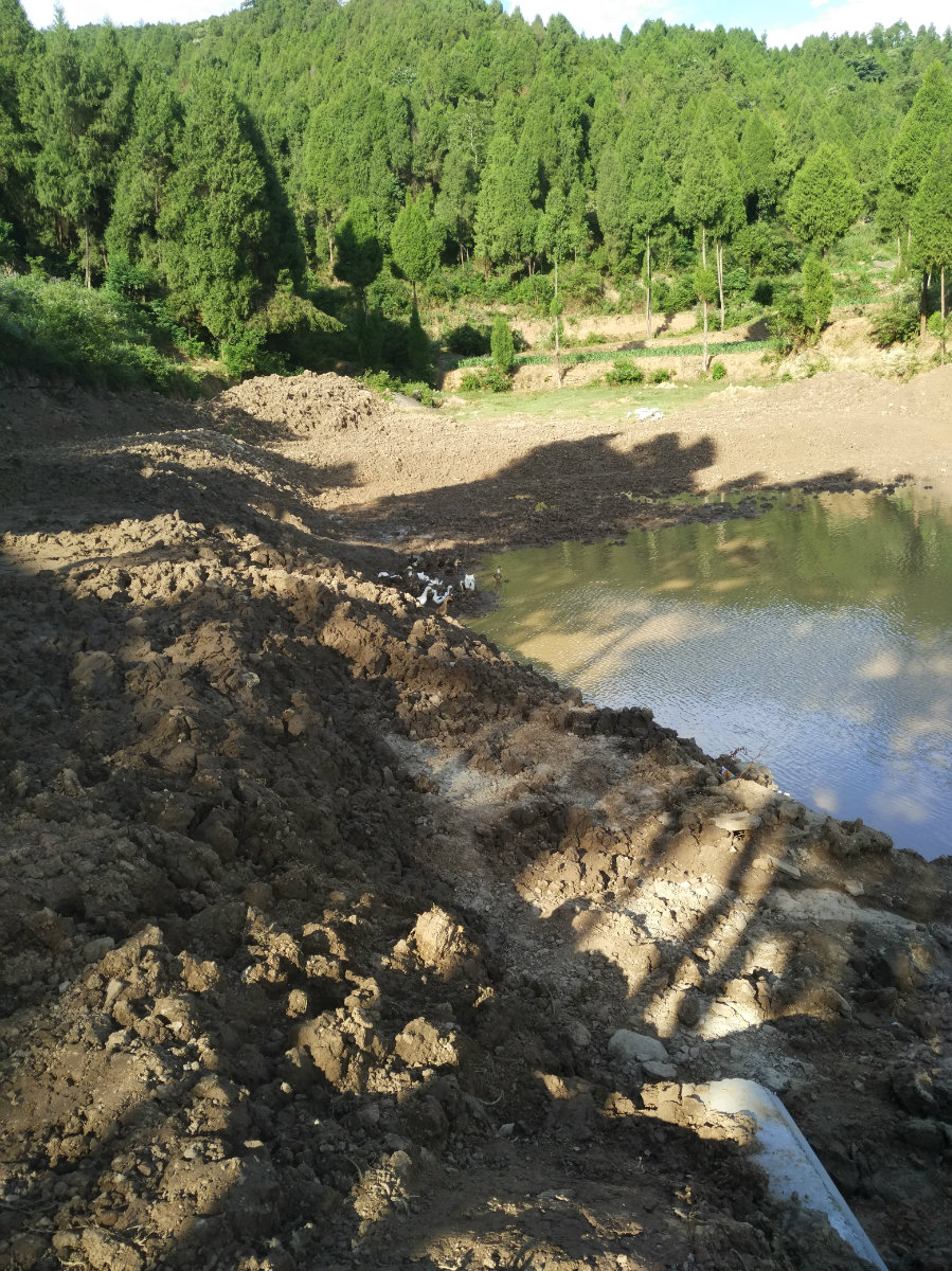 230100d869amam0mine2fn.jpg