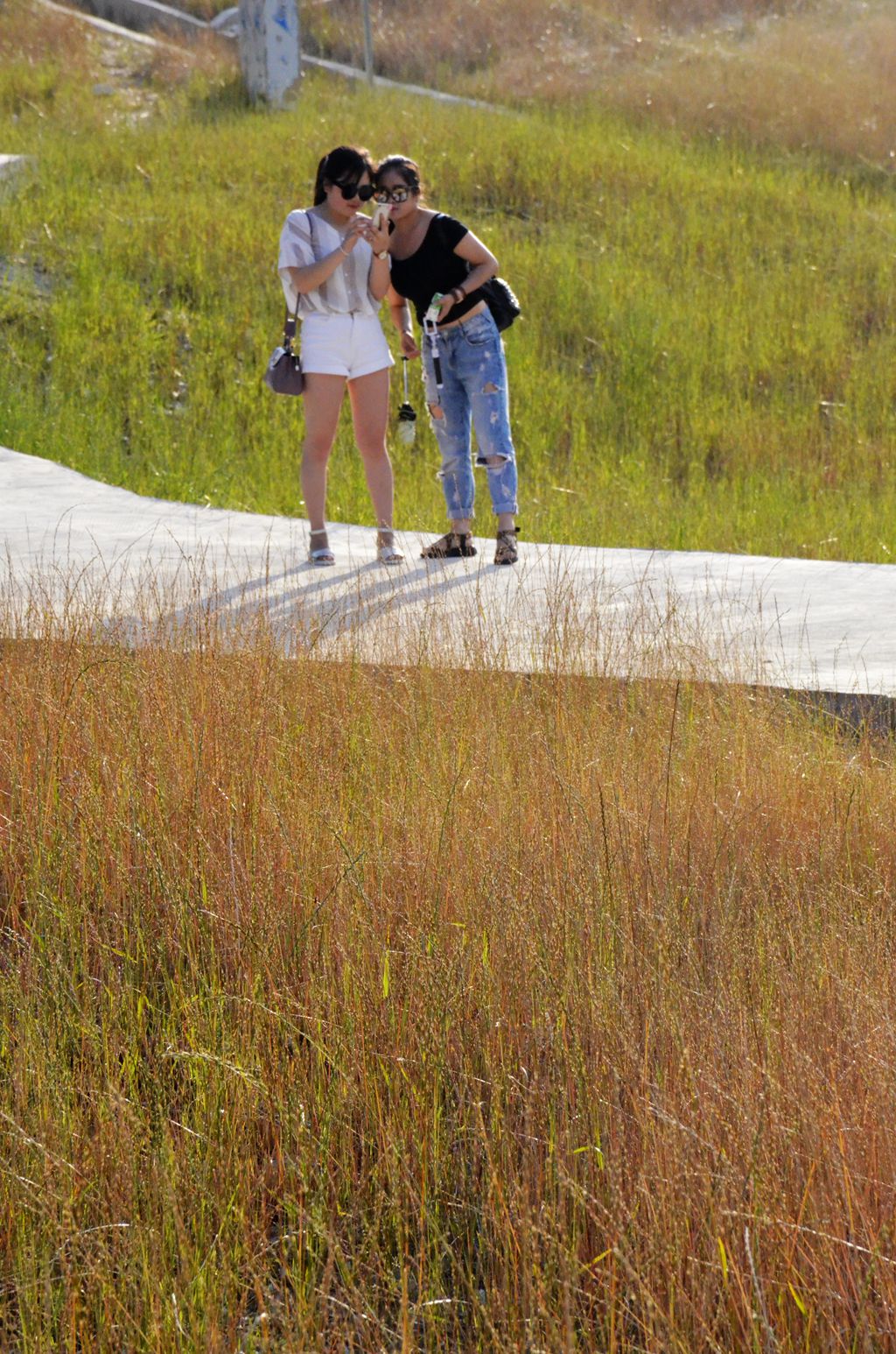 _DSC7253_.jpg