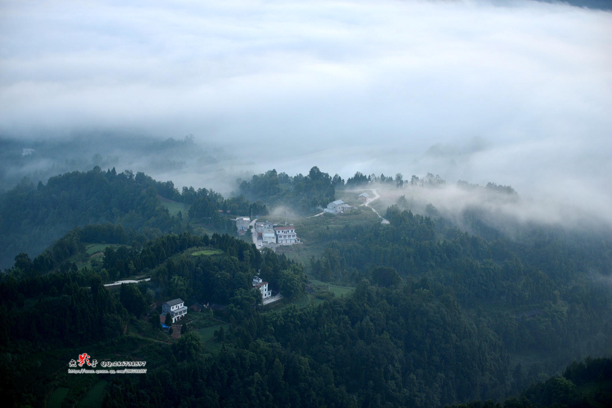 DSC_1525.jpg