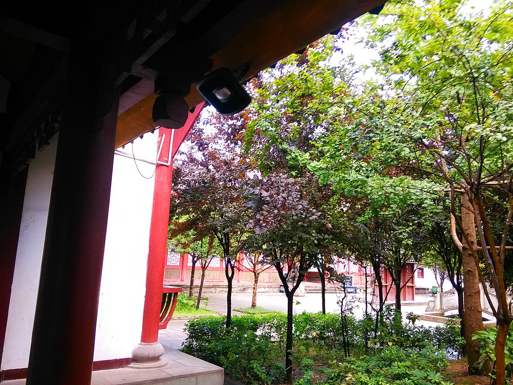 IMG_20160710_162610.jpg