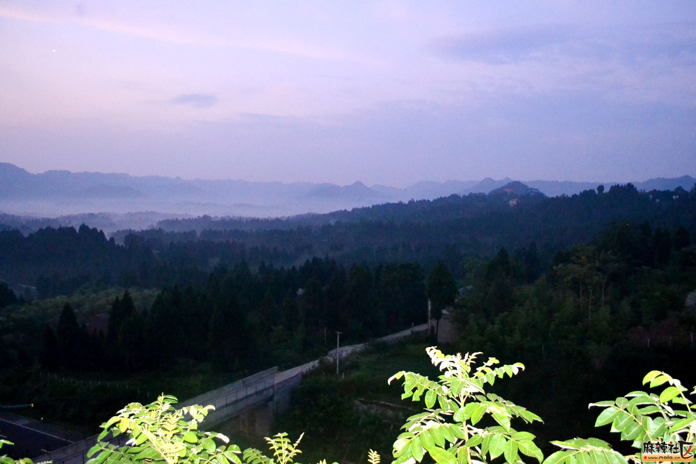 DSC_9116.JPG