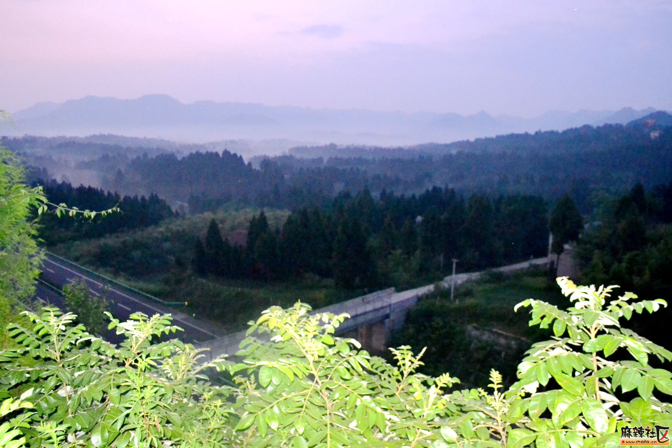 DSC_9117.JPG