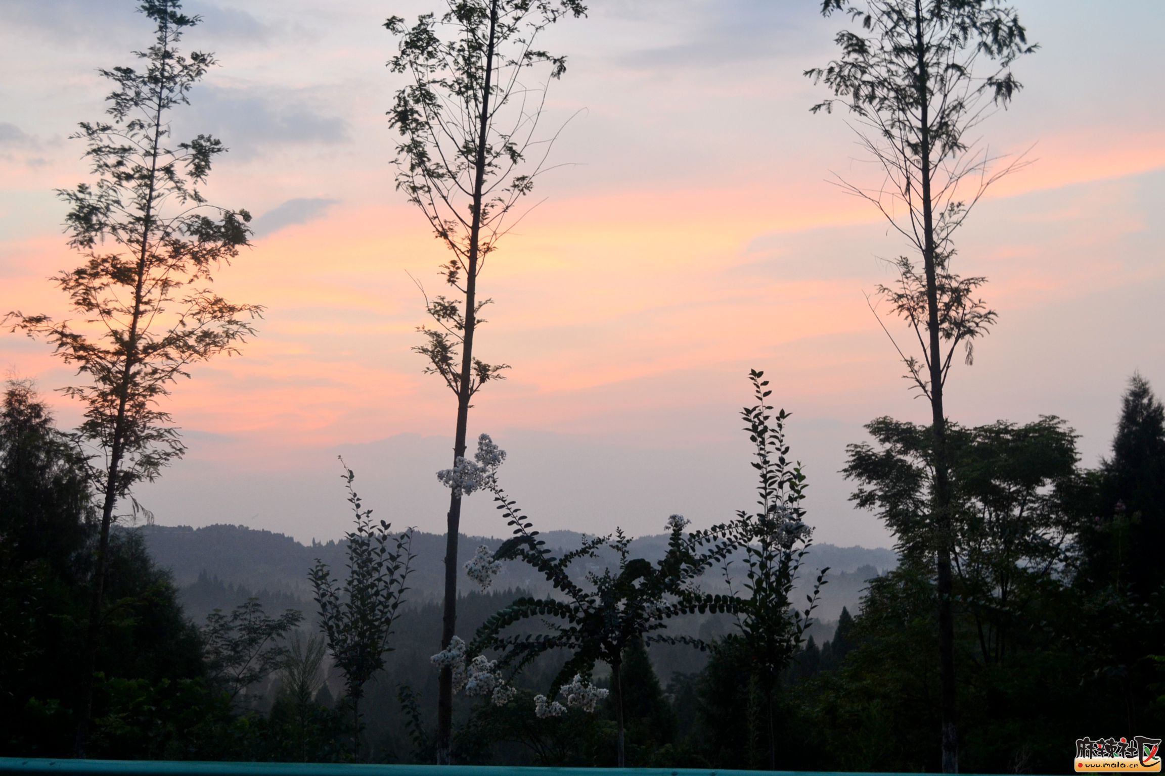 DSC_9122.JPG
