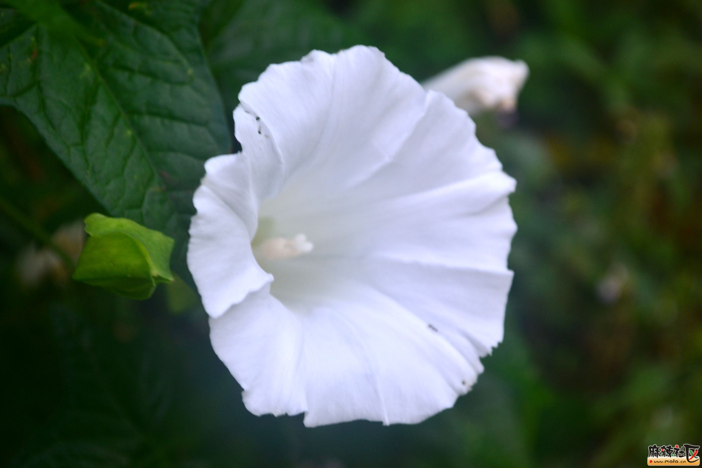 DSC_9150.JPG