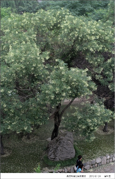162345cwmvwd043lfiaffg.jpg