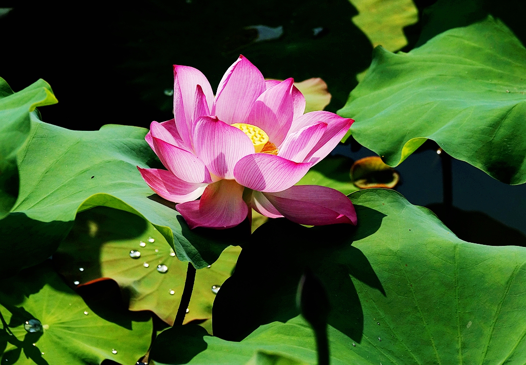 DSC07165_.jpg