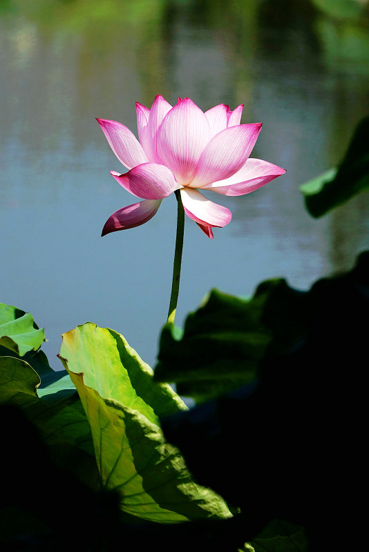 DSC07262__.jpg