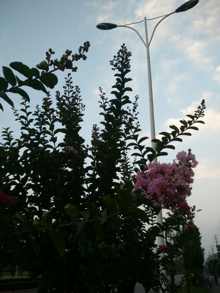 QQͼƬ20160727172627.jpg