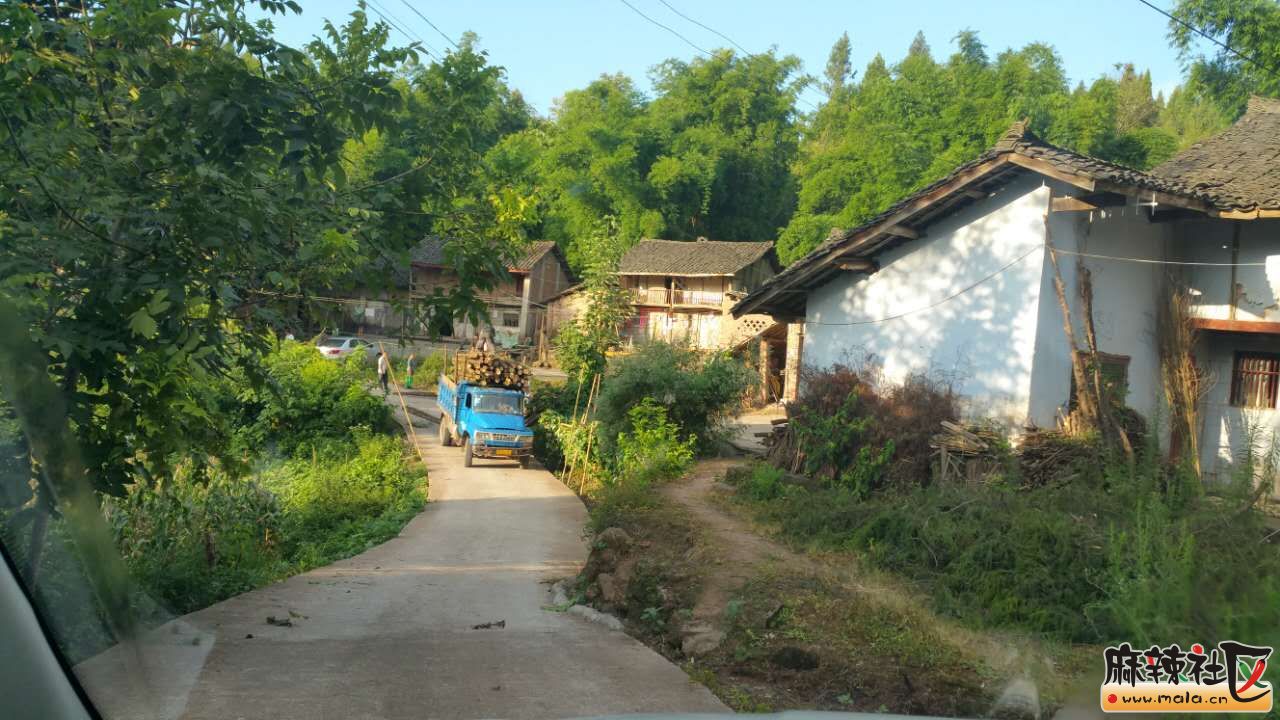 143341avgeev2g7ojruzh7.jpg