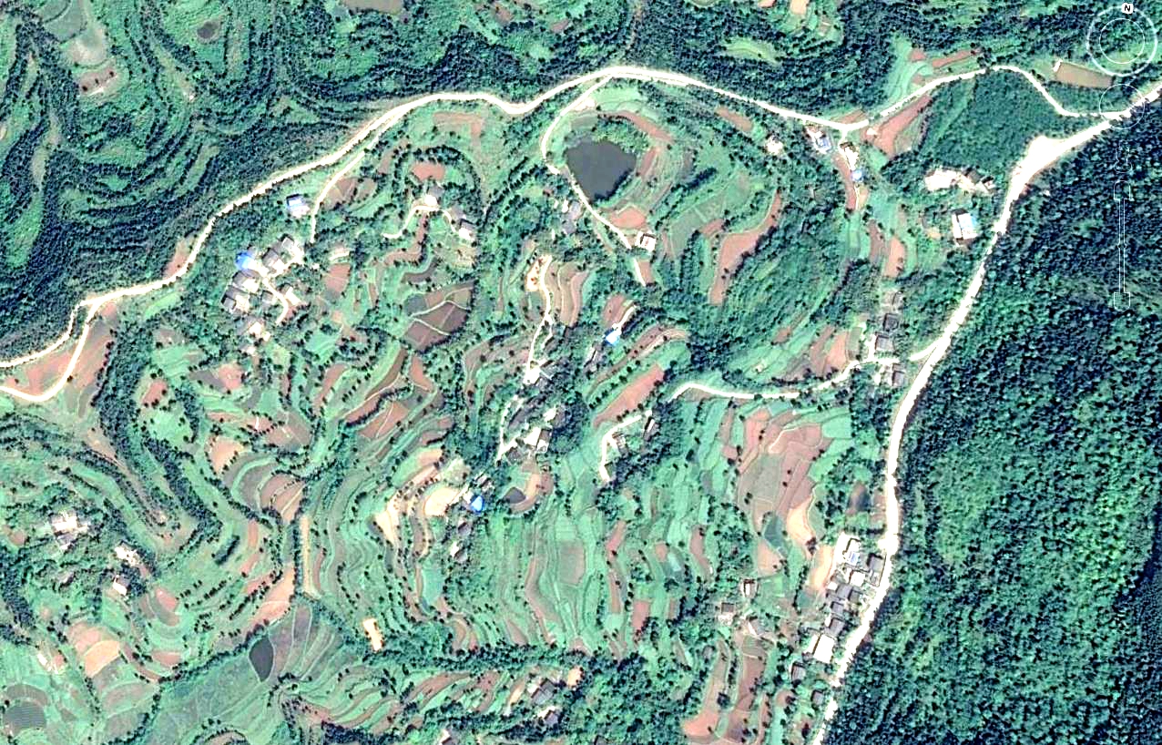 08145.jpg
