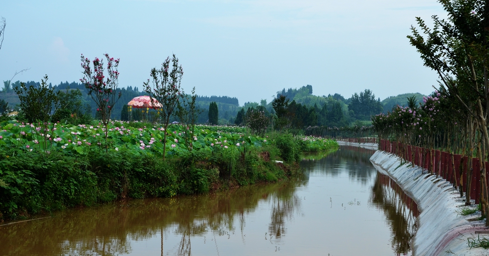 Ƭ 059.jpg
