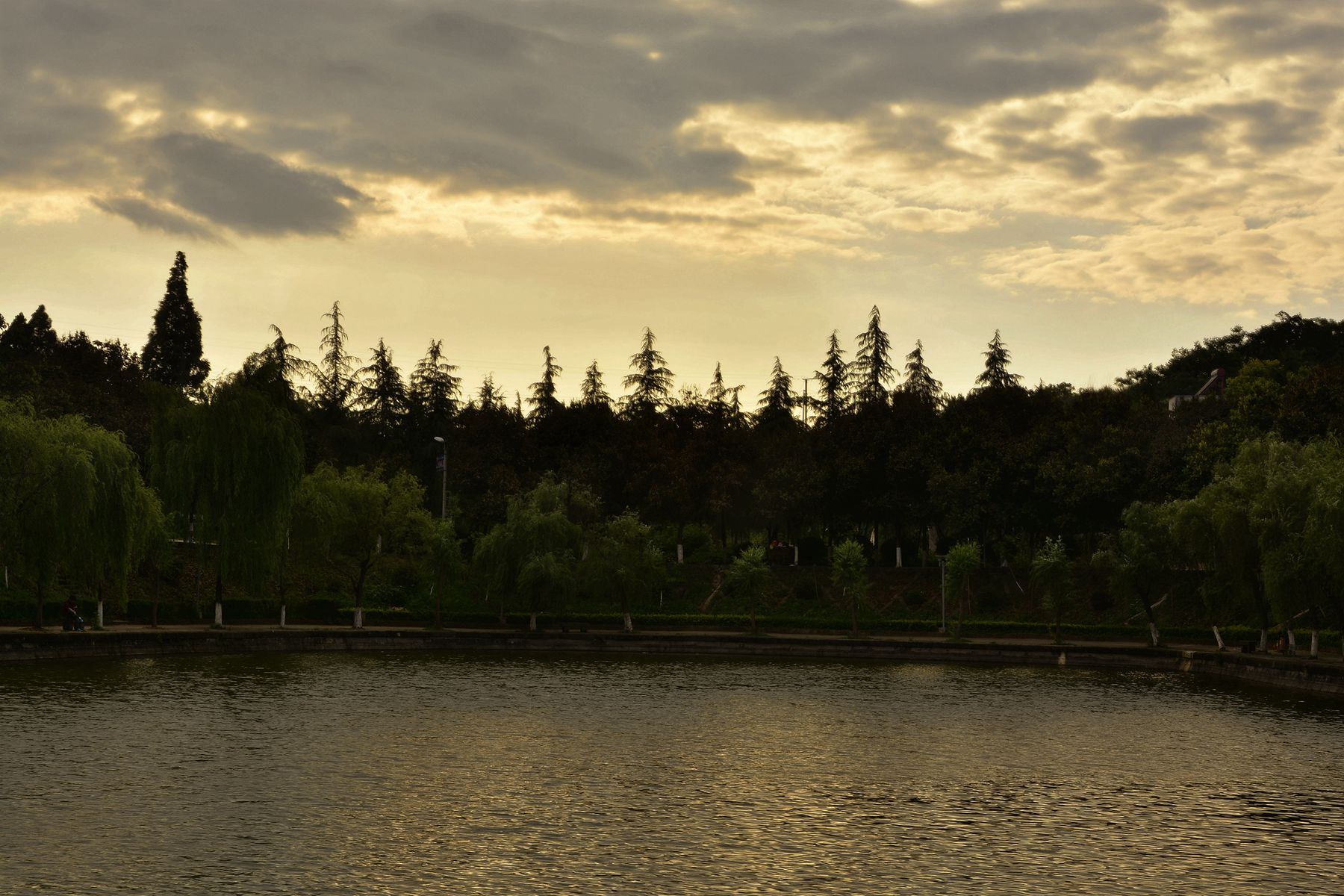 _DSC3887_.jpg