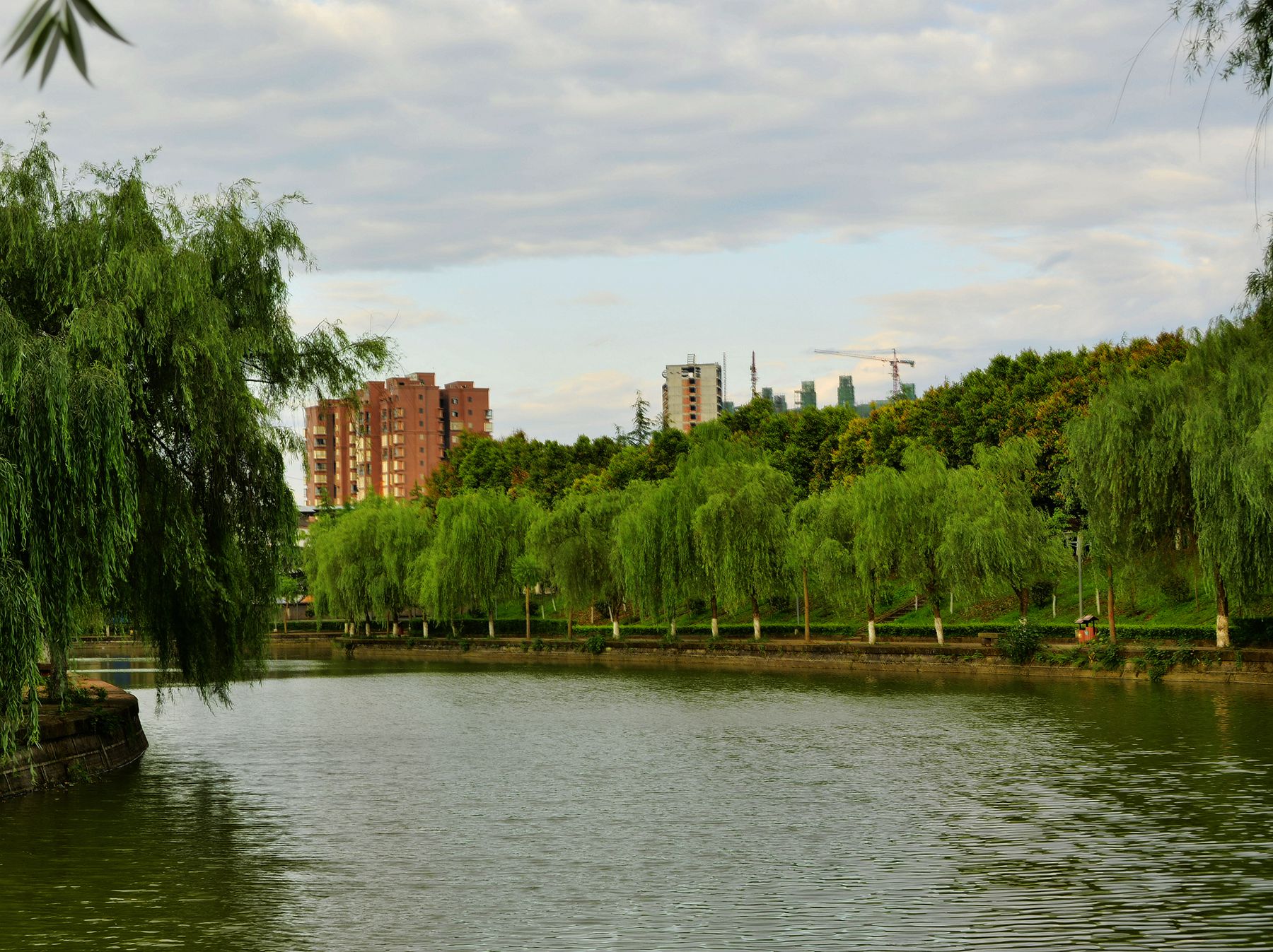 _DSC3919_.jpg
