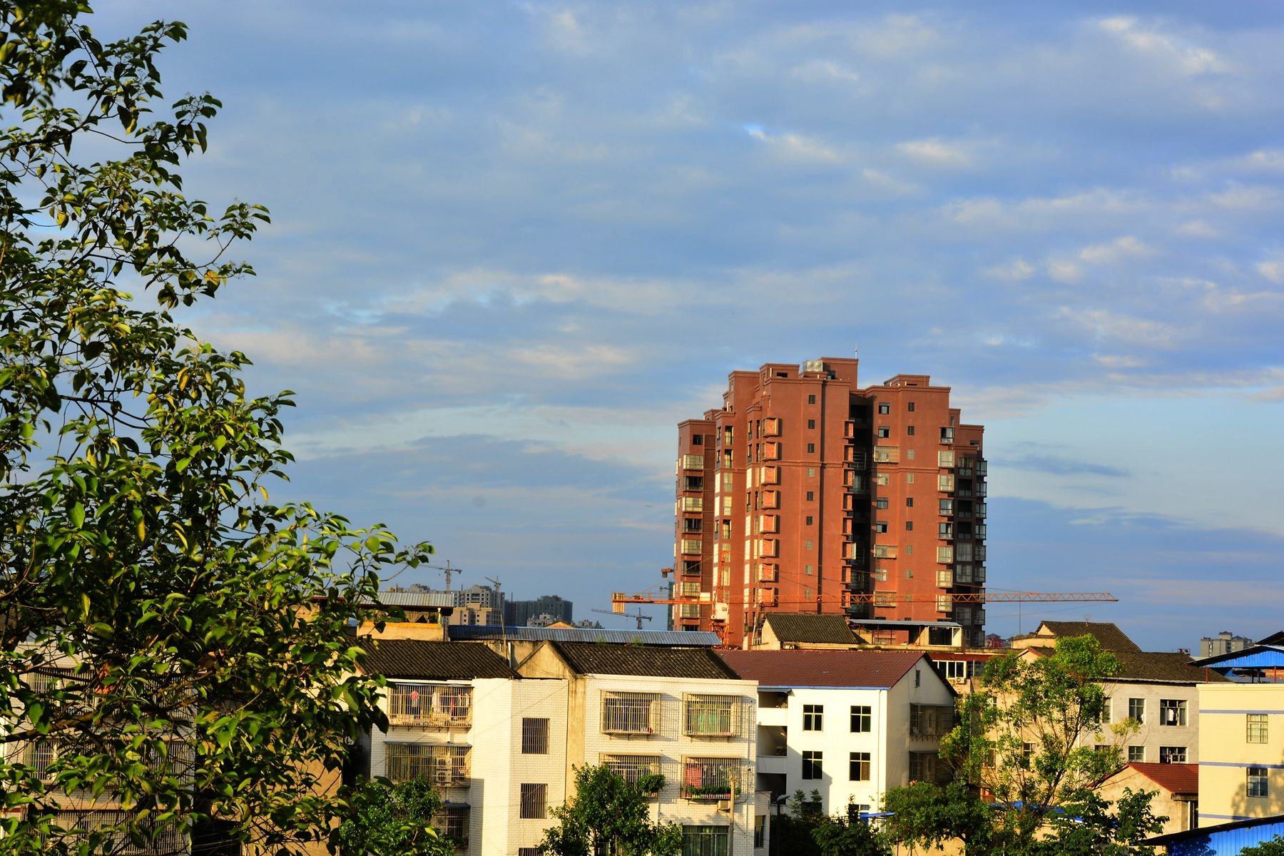 _DSC3940_.jpg