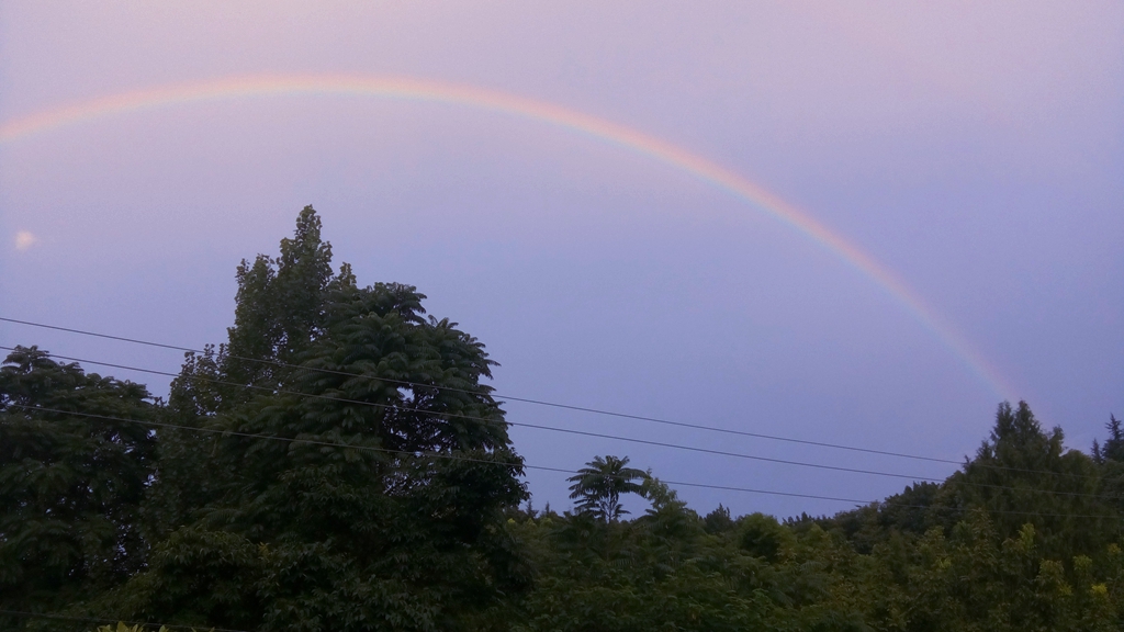 20160731_222553_013.jpg