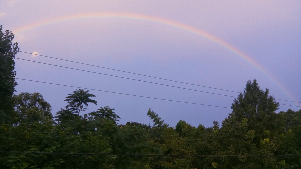 20160731_222553_015.jpg