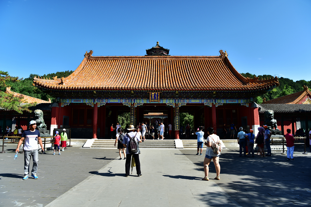 DSC_3231__.jpg