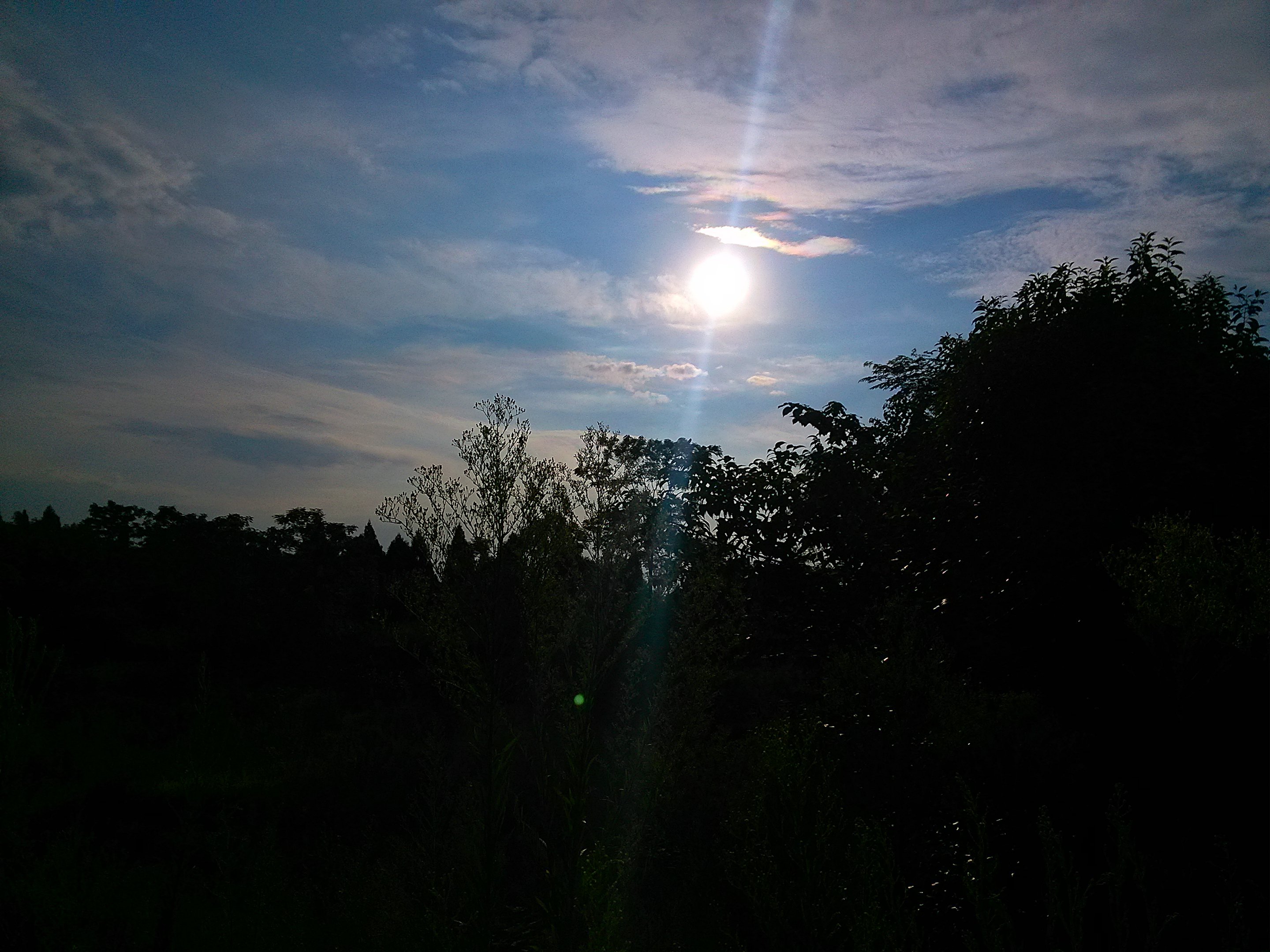 IMG_20160730_075703.jpg