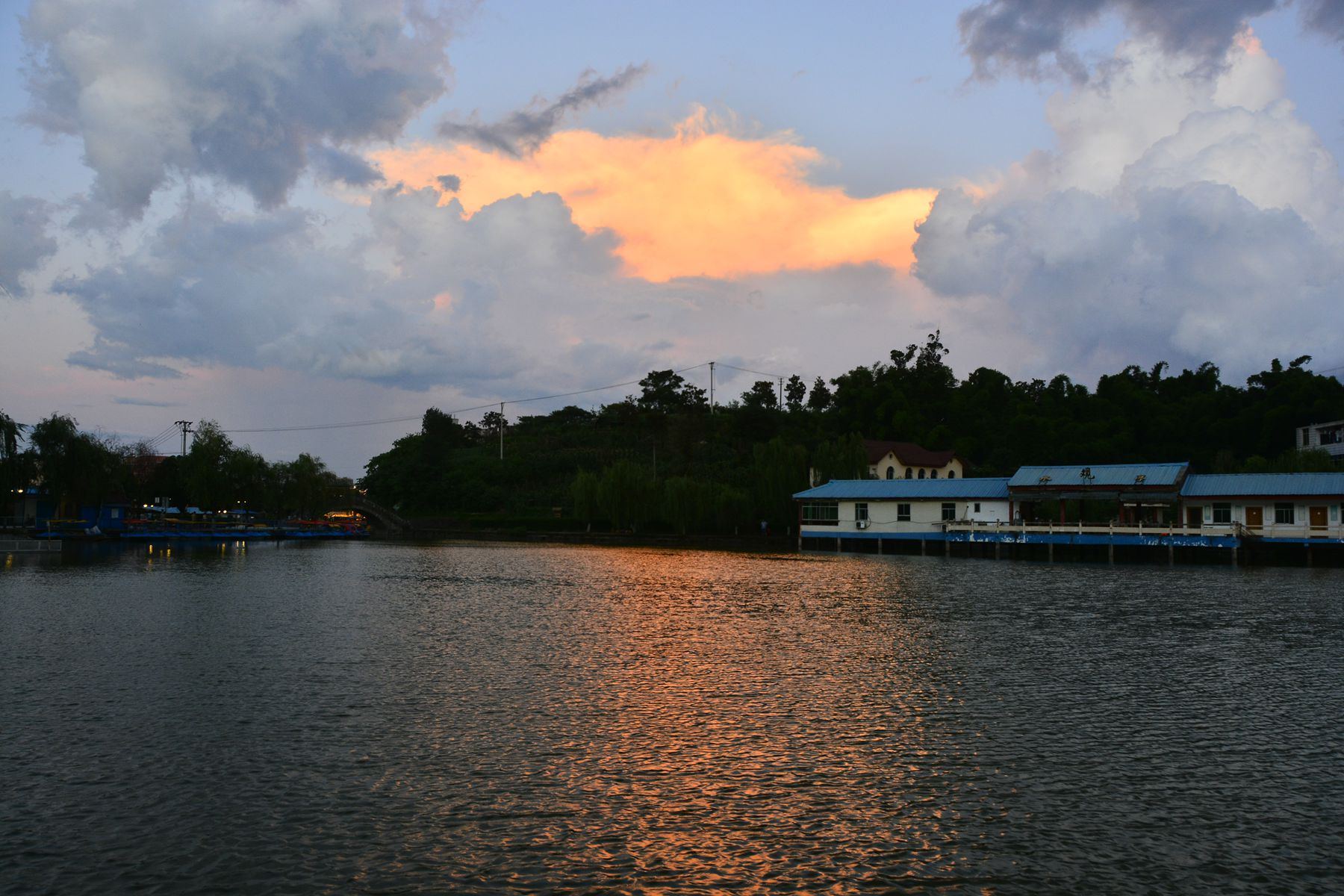 _BCD8141_.jpg