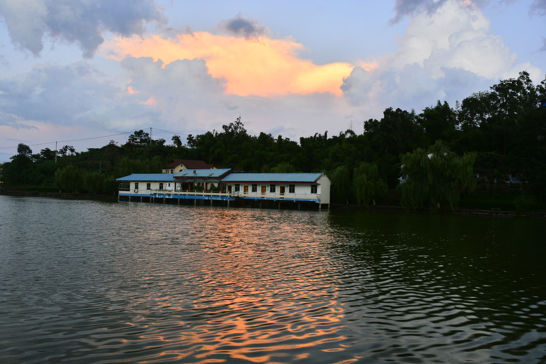 _BCD8143_.jpg