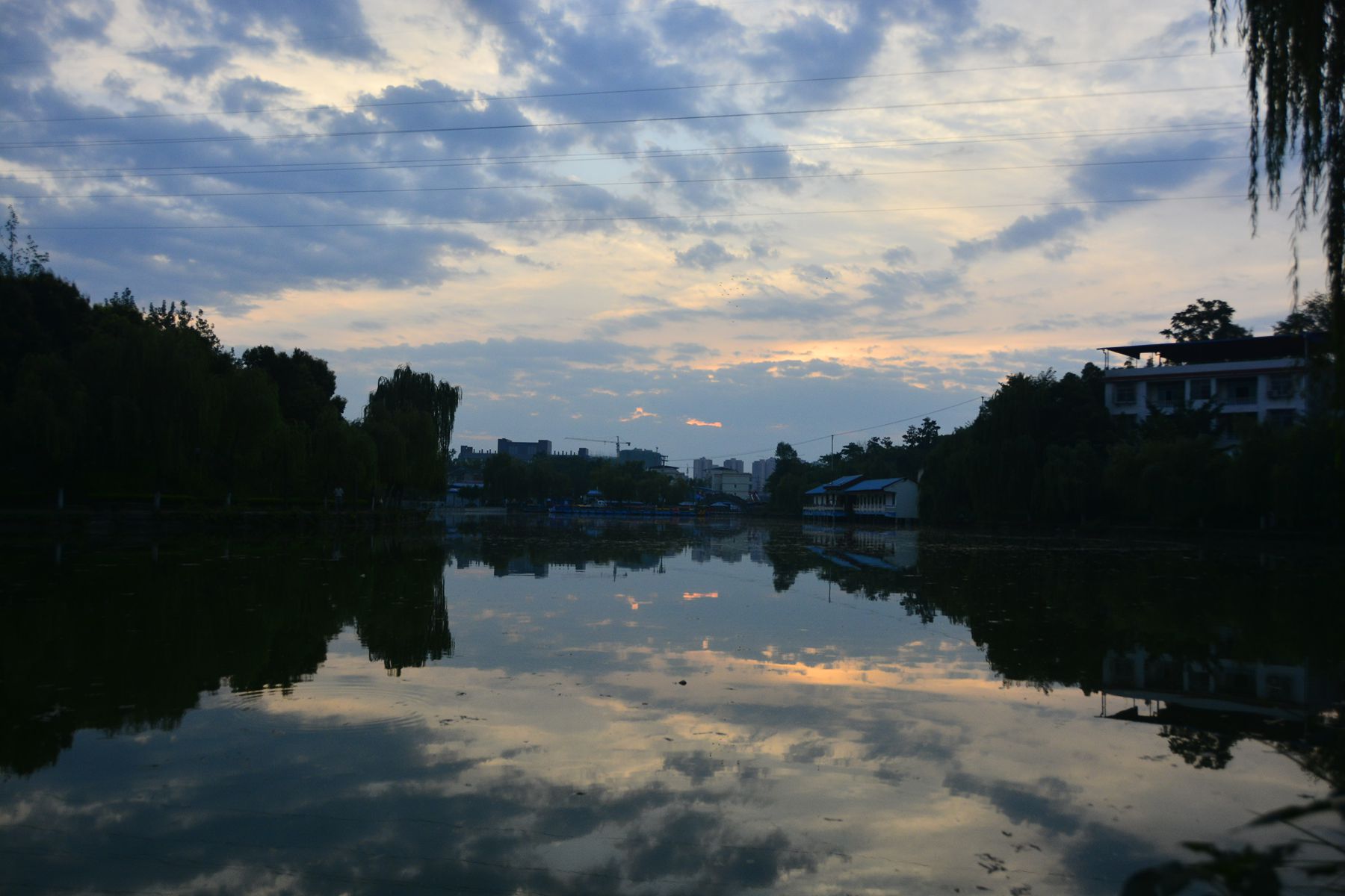 _BCD8170_.jpg