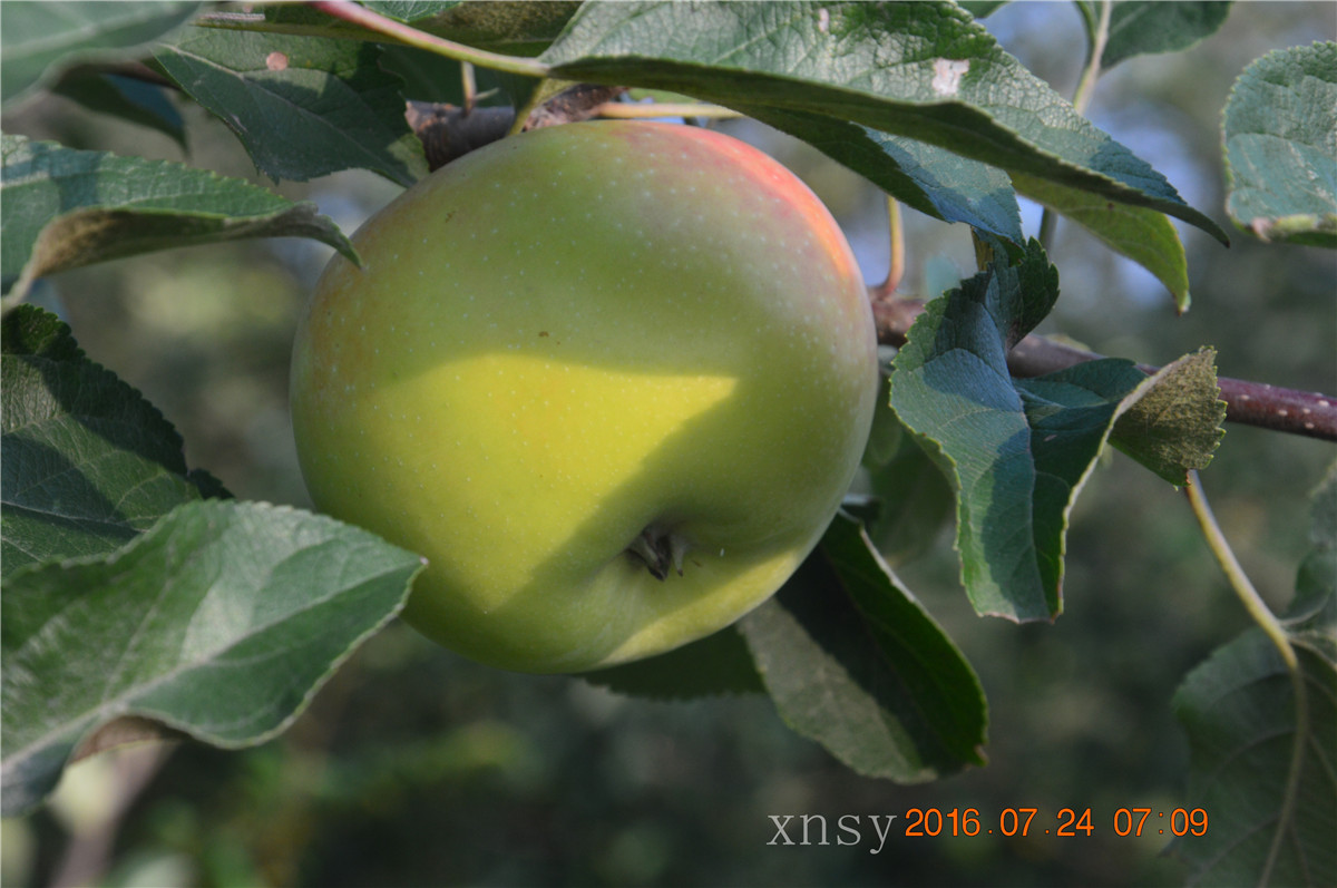 DSC_0013.JPG