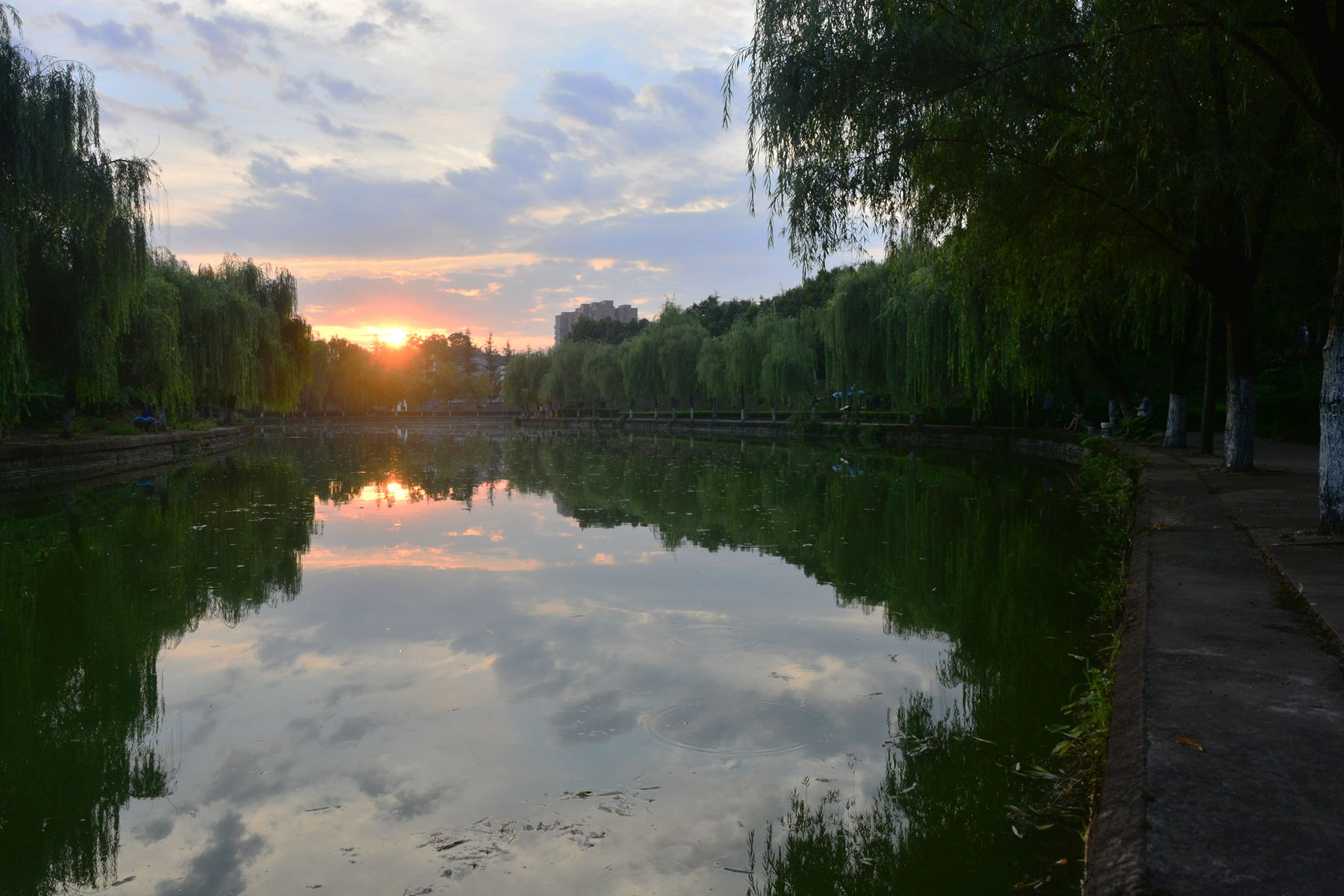 _BCD8186_.jpg