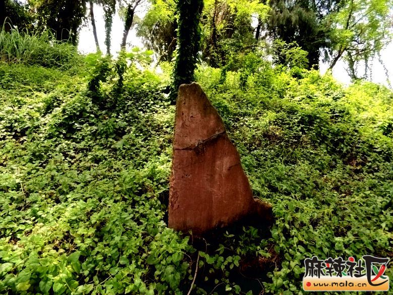 探秘简阳福田乡刘存厚的祖坟与清代时期的老房